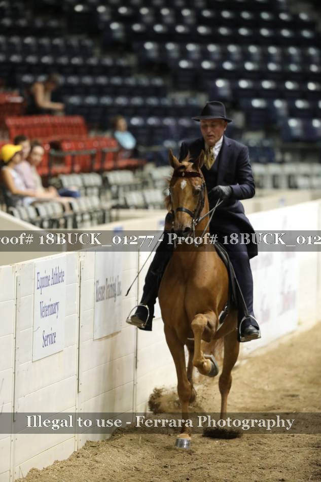 Proof 18BUCK_01277