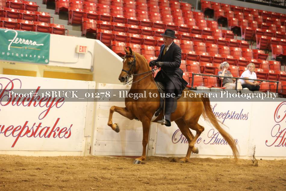 Proof 18BUCK_01278