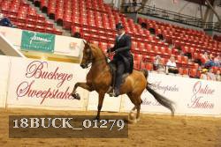 18BUCK_01279 proof
