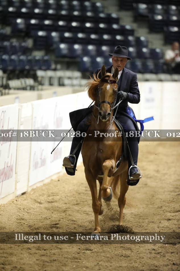 Proof 18BUCK_01280