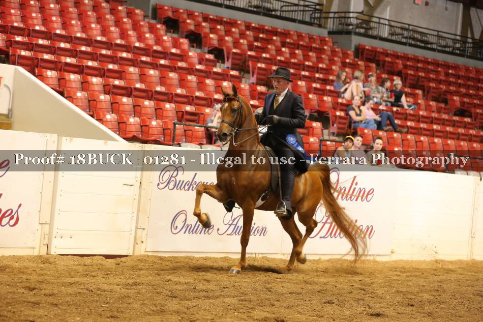 Proof 18BUCK_01281