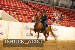 18BUCK_01281 proof