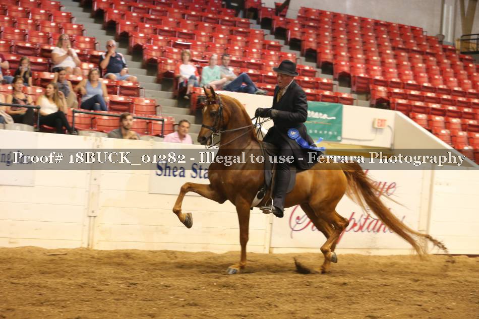 Proof 18BUCK_01282