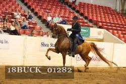 18BUCK_01282 proof