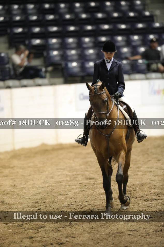 Proof 18BUCK_01283