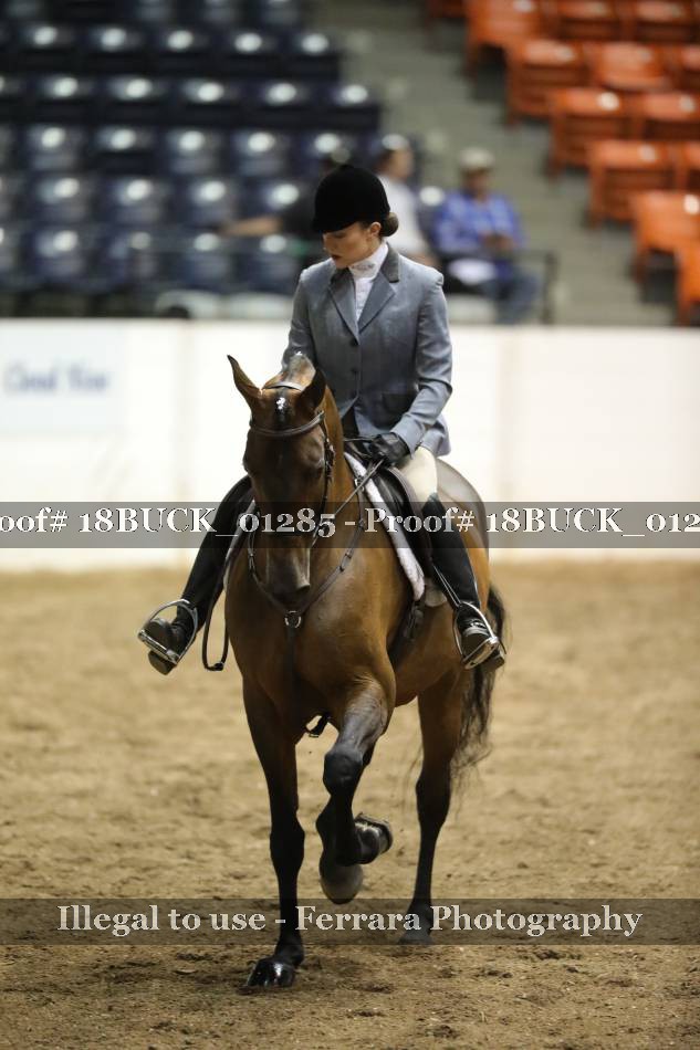 Proof 18BUCK_01285