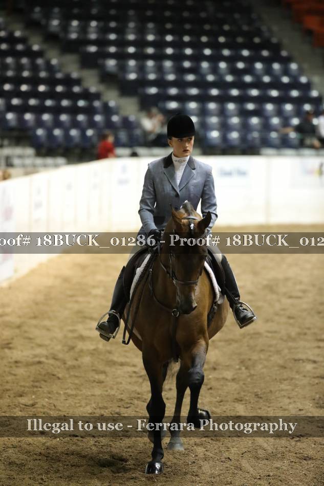Proof 18BUCK_01286