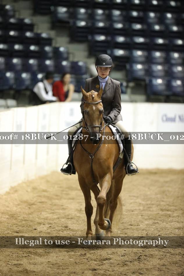 Proof 18BUCK_01287