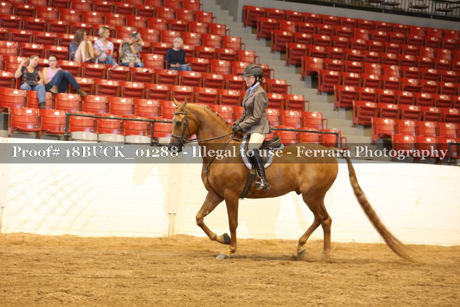 Proof 18BUCK_01288