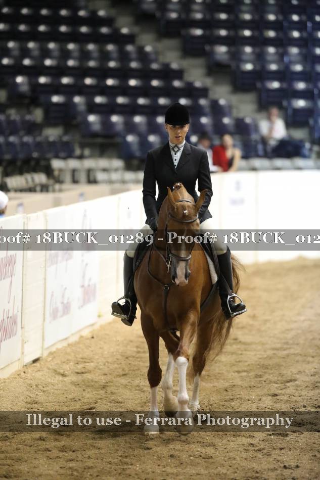 Proof 18BUCK_01289