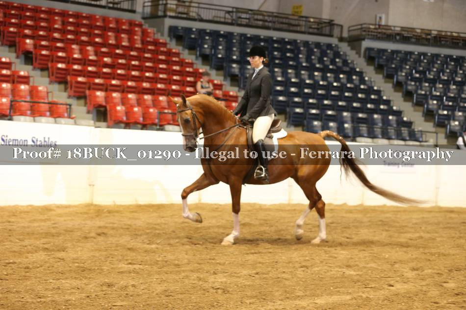 Proof 18BUCK_01290