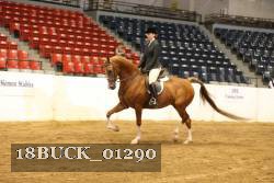 18BUCK_01290 proof