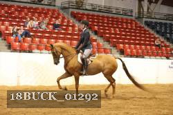 18BUCK_01292 proof
