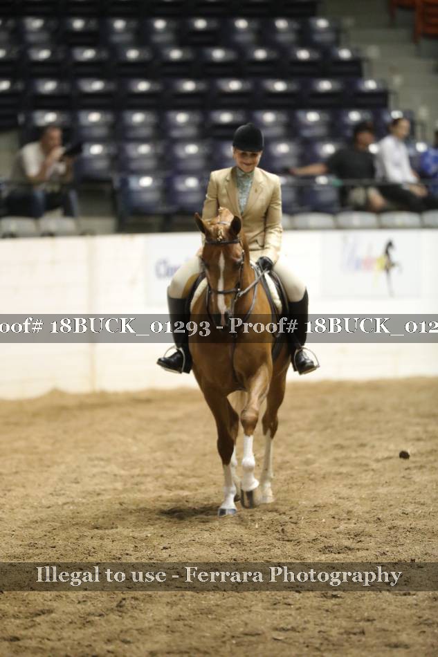 Proof 18BUCK_01293