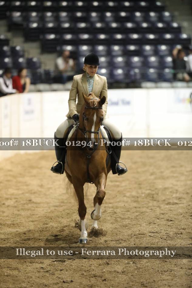 Proof 18BUCK_01294