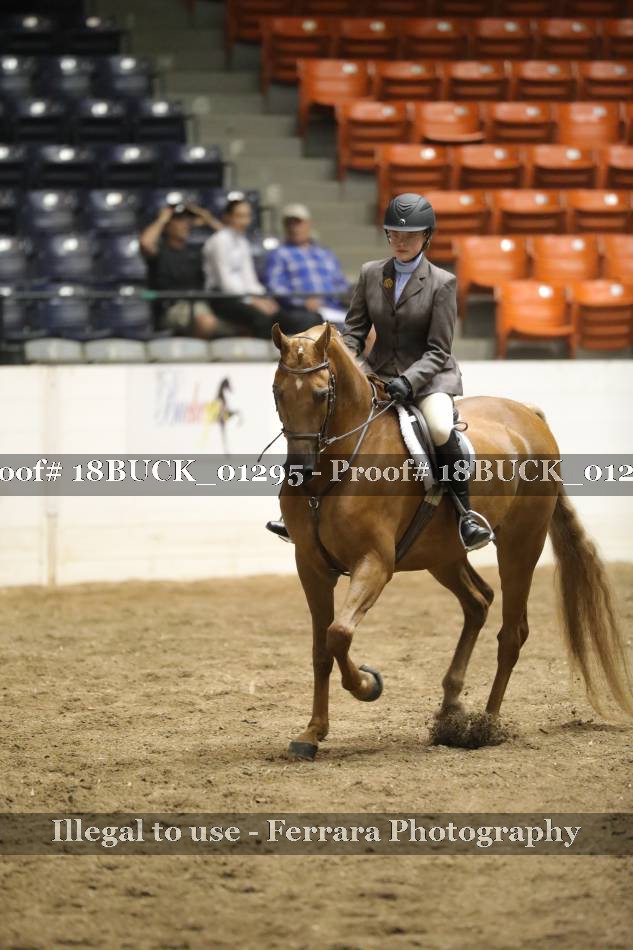 Proof 18BUCK_01295
