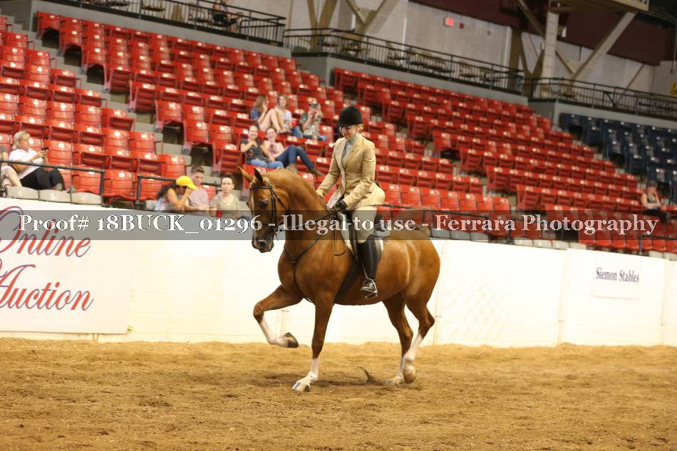 Proof 18BUCK_01296