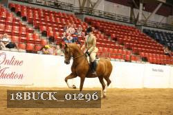 18BUCK_01296 proof
