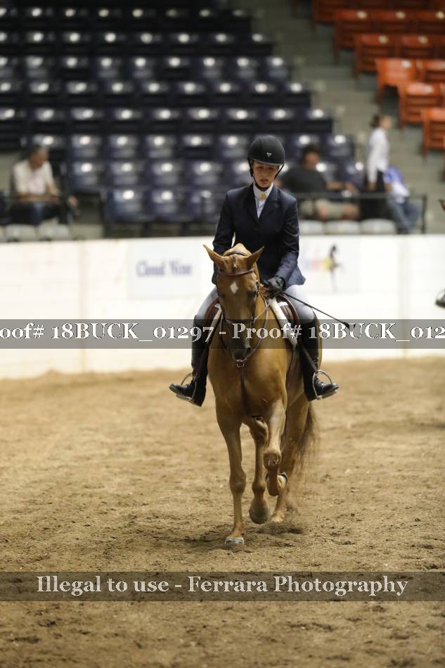 Proof 18BUCK_01297