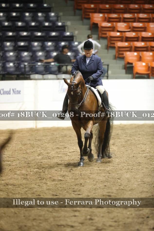 Proof 18BUCK_01298