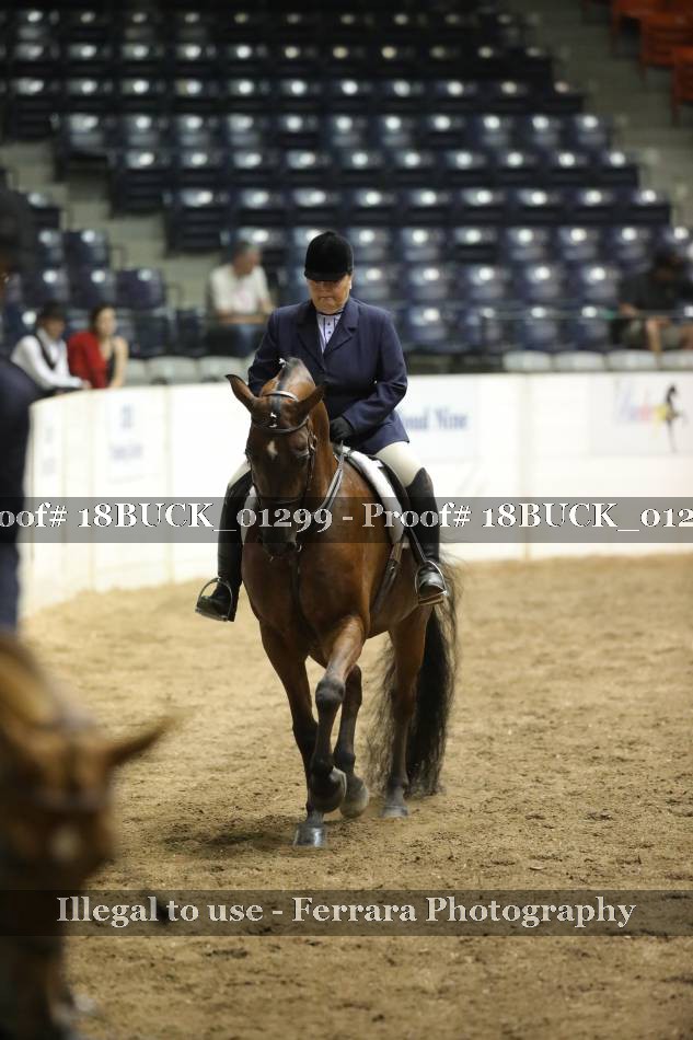 Proof 18BUCK_01299
