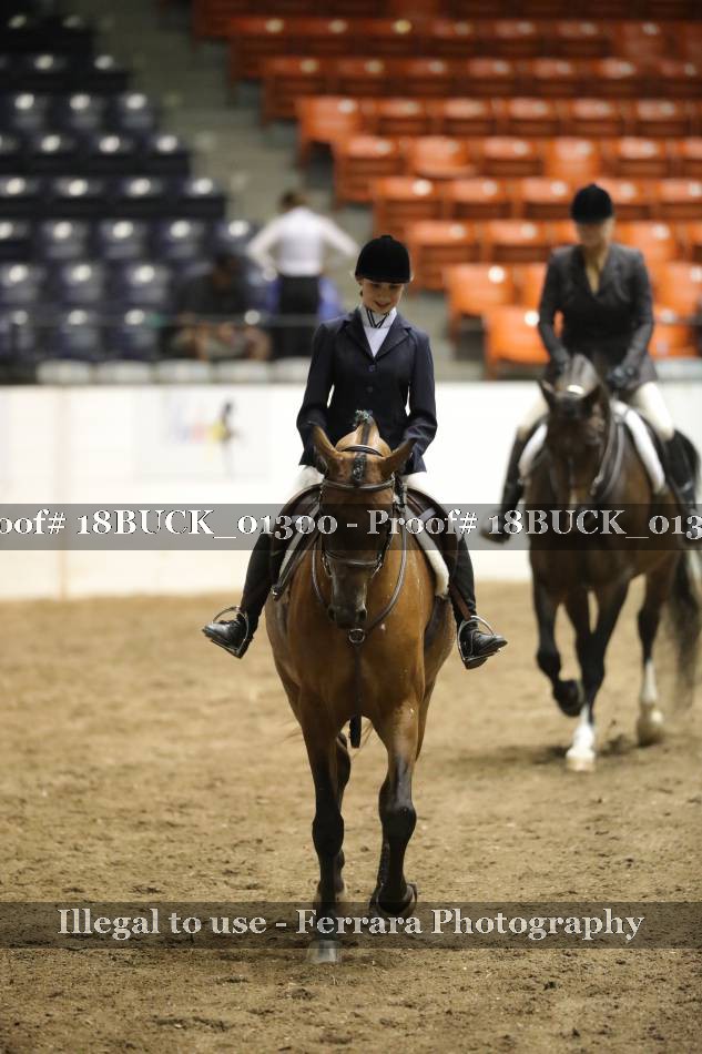 Proof 18BUCK_01300