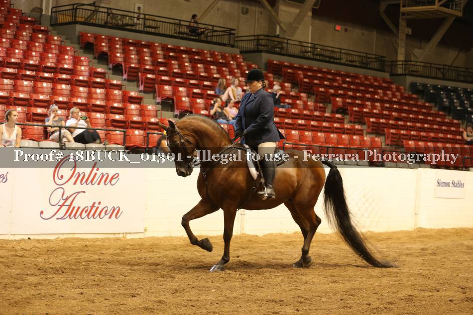 Proof 18BUCK_01301