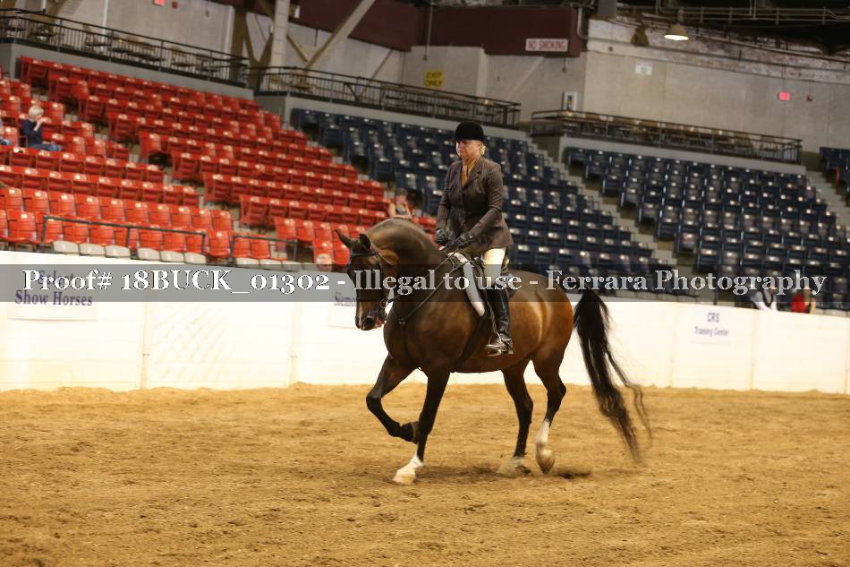 Proof 18BUCK_01302