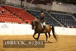 18BUCK_01302 proof