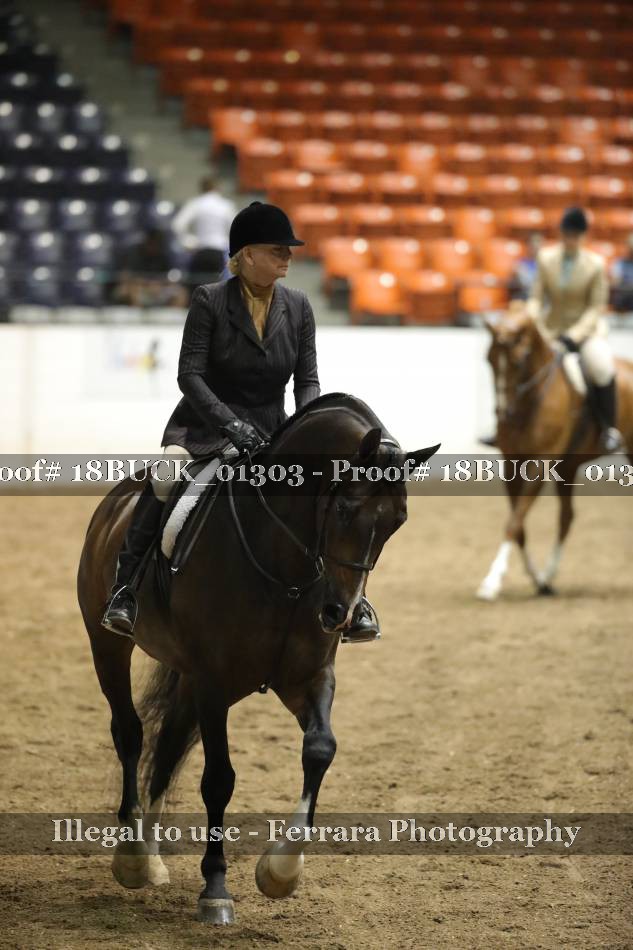 Proof 18BUCK_01303