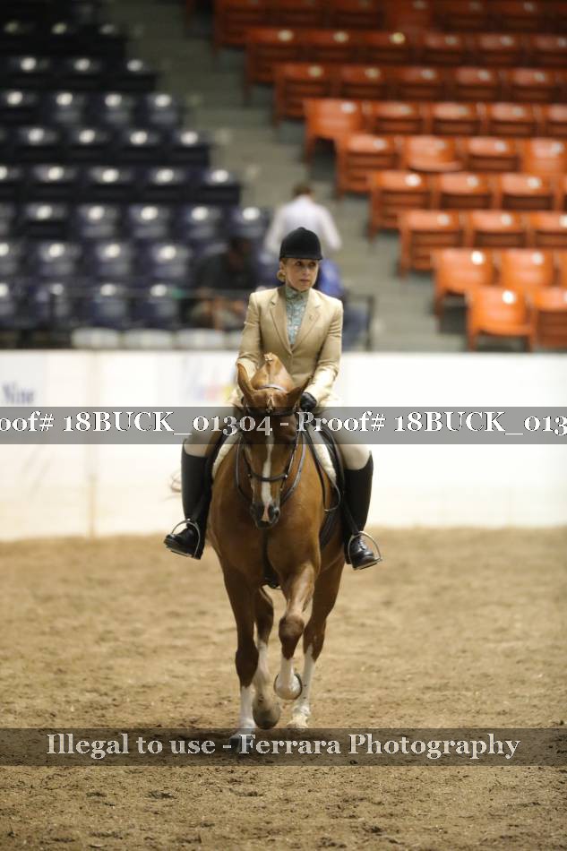 Proof 18BUCK_01304