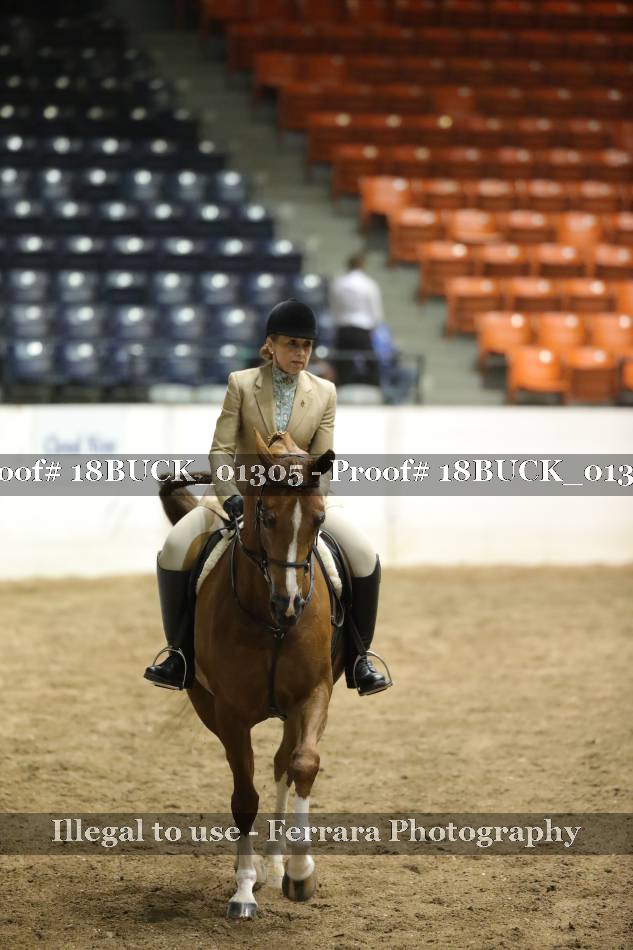Proof 18BUCK_01305