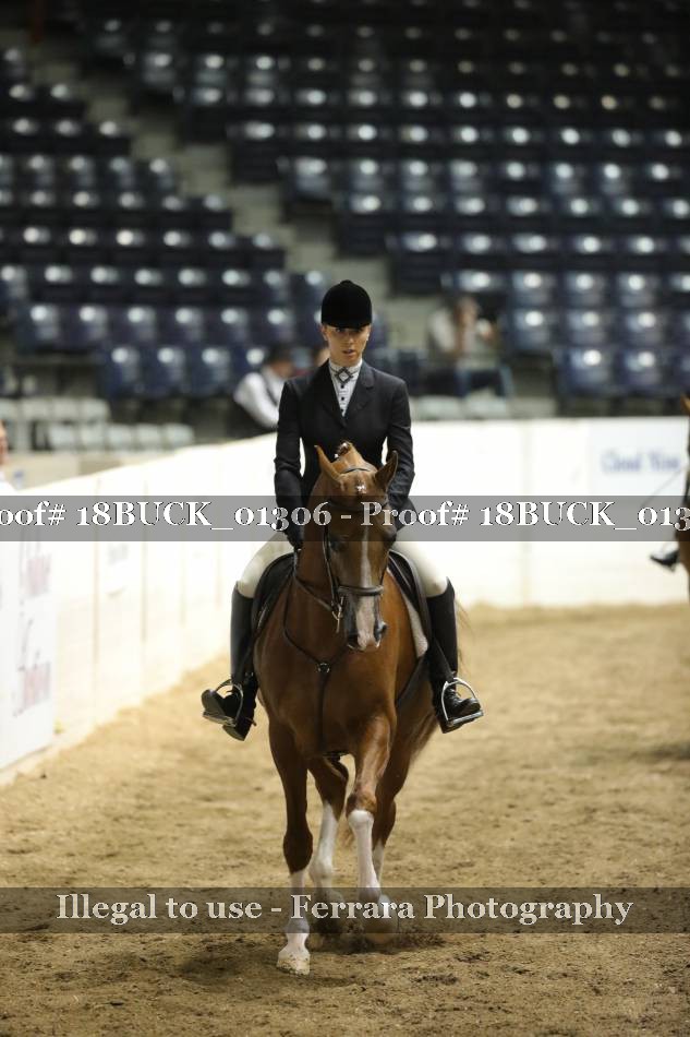 Proof 18BUCK_01306