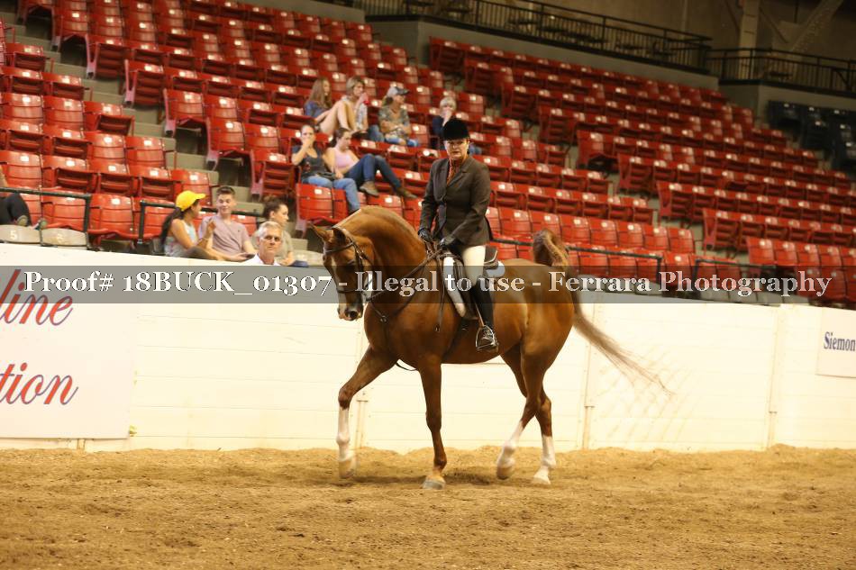 Proof 18BUCK_01307