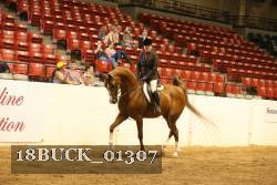 18BUCK_01307 proof