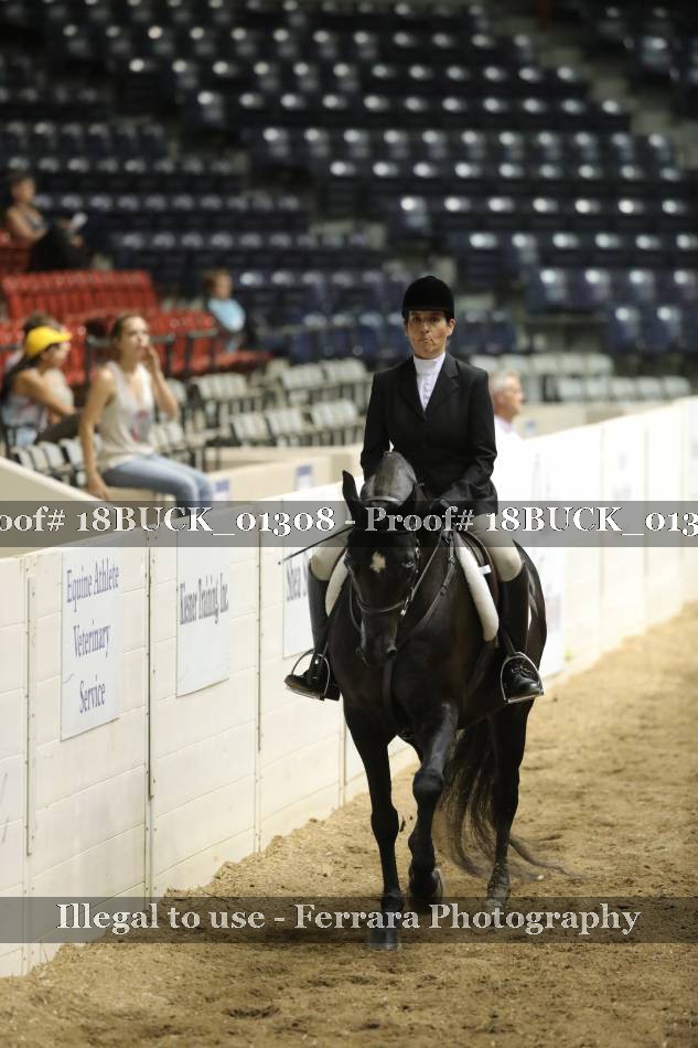 Proof 18BUCK_01308