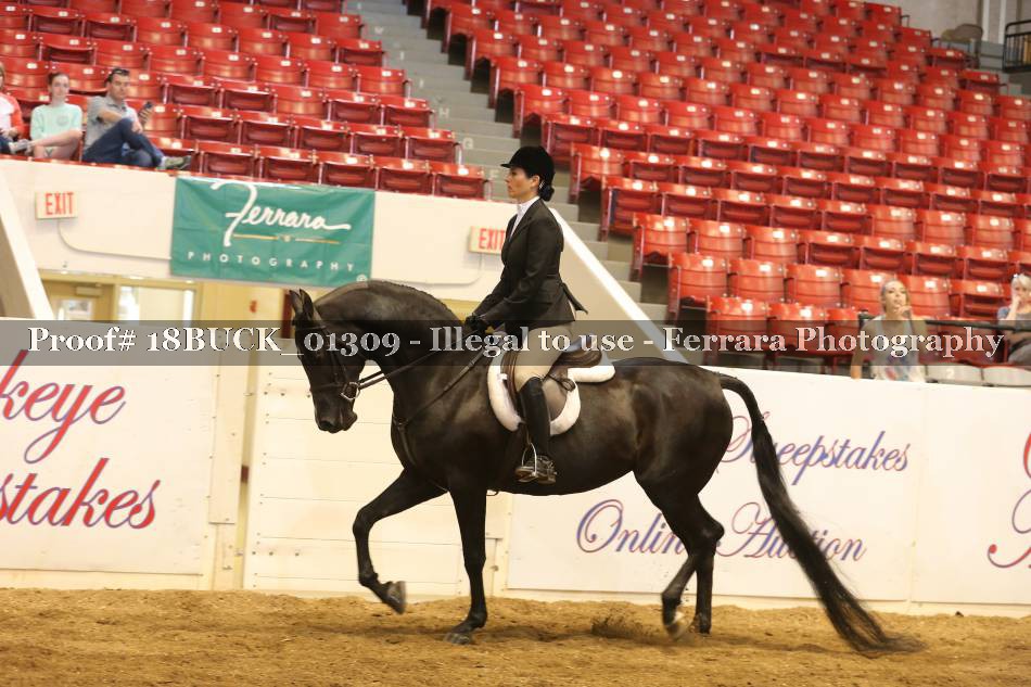 Proof 18BUCK_01309