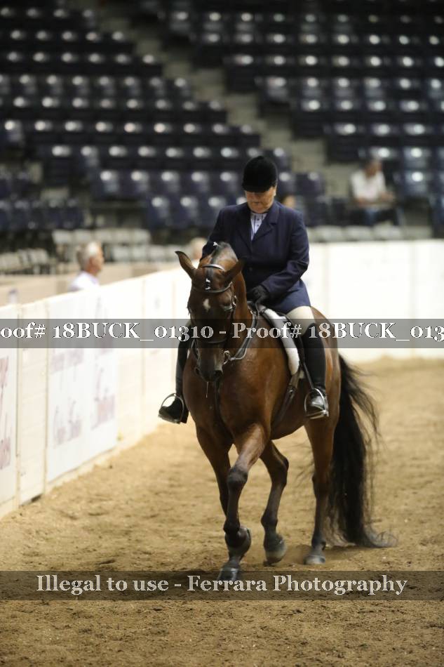 Proof 18BUCK_01310