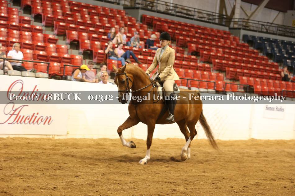 Proof 18BUCK_01312