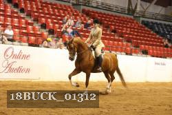 18BUCK_01312 proof