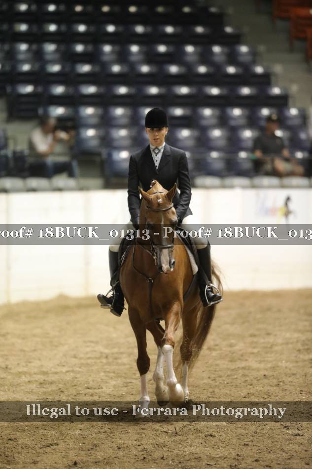 Proof 18BUCK_01313