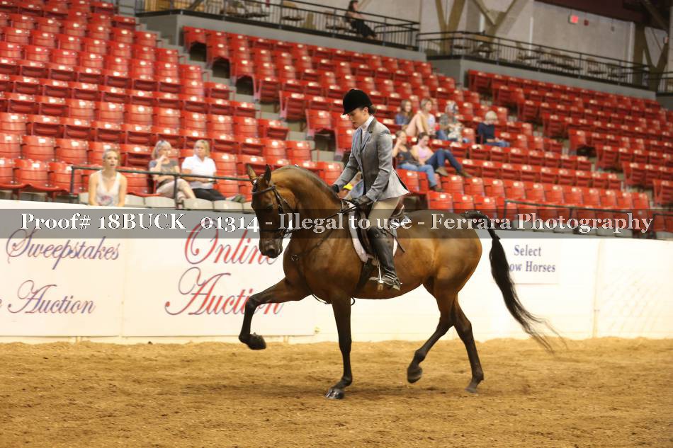 Proof 18BUCK_01314
