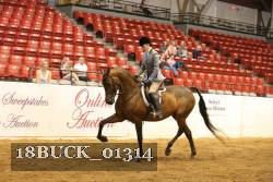 18BUCK_01314 proof