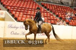 18BUCK_01316 proof