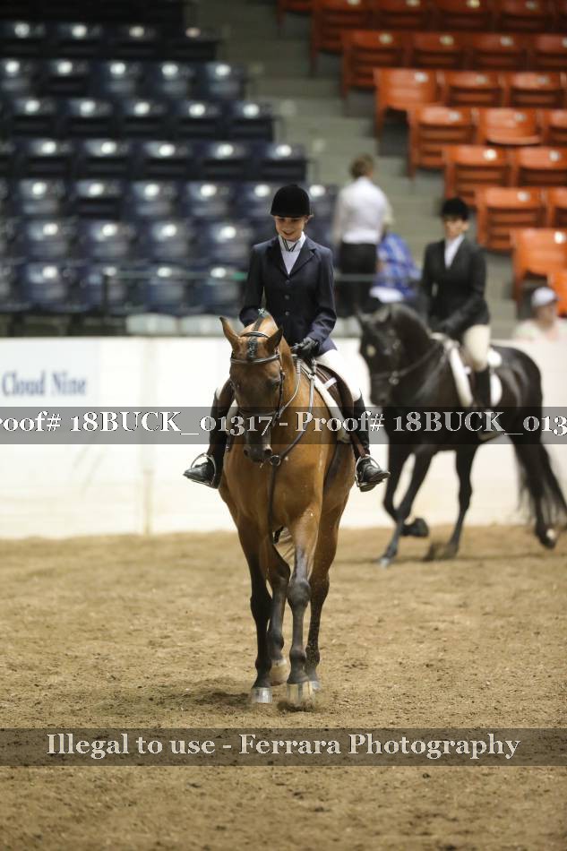 Proof 18BUCK_01317
