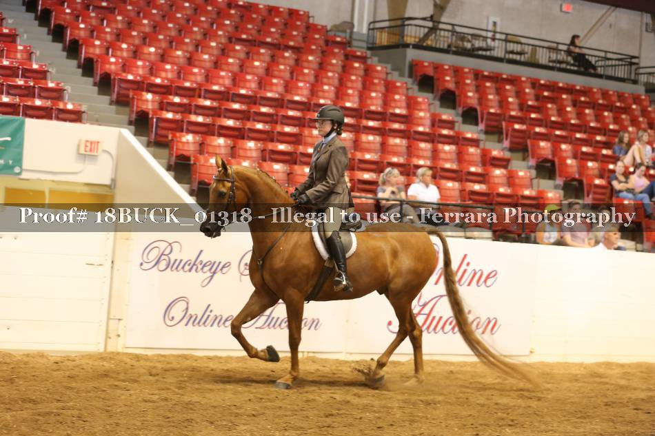 Proof 18BUCK_01318