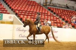 18BUCK_01318 proof
