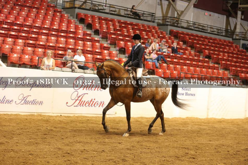 Proof 18BUCK_01321
