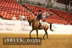 18BUCK_01321 proof