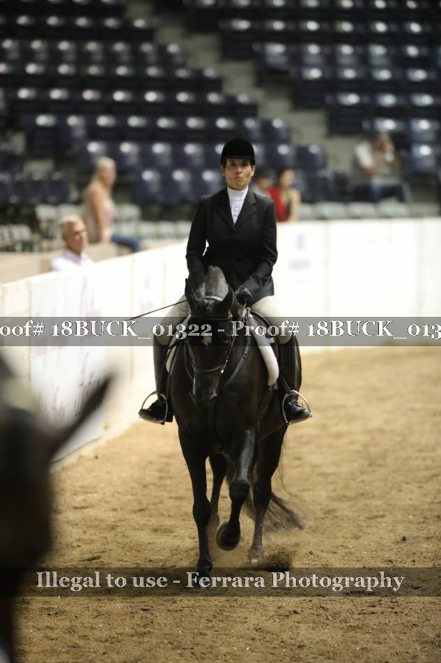 Proof 18BUCK_01322